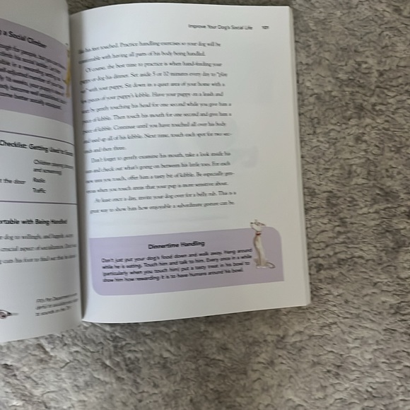 Dog friendly dog training Andrea Arden - Picture 3 of 4